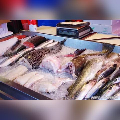 《菜市场模拟器钓鱼攻略：轻松捕获市场鱼货》