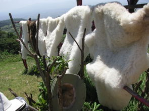 《 Nation Z》肉鸽RPG:揭秘神秘动作世界,探秘未知! 《 Nation Z》肉鸽RPG:揭秘神秘动作世界,探秘未知!