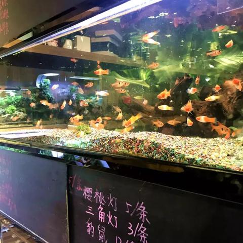 《星空飞船改造秘籍:高效升级攻略》 《星空飞船改造秘籍:高效升级攻略》