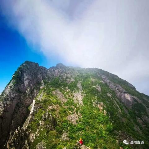 《吾之战争》:亲历战场,直面战争残酷真相 《吾之战争》:亲历战场,直面战争残酷真相