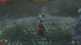 《只狼全技能伤害解析》多周目难度深度剖析 《只狼全技能伤害解析》多周目难度深度剖析