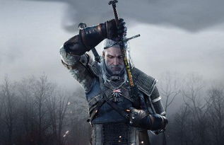 《巫师3》MOD升级!杰洛特战斗惨烈度飙升,体验全新战场! 《巫师3》MOD升级!杰洛特战斗惨烈度飙升,体验全新战场!