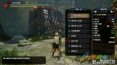 《崛起狂化3重弩》怪物猎人最强配装攻略！