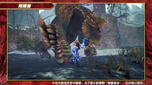 《怪物猎人崛起》新舞台揭秘:城塞高地狩猎攻略大公开 《怪物猎人崛起》新舞台揭秘:城塞高地狩猎攻略大公开