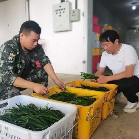 《三角洲行动》安全箱攻略:轻松解锁获取技巧 《三角洲行动》安全箱攻略:轻松解锁获取技巧