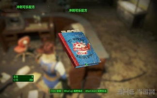 《辐射4》冒险指南:轻松防沉迷攻略揭秘 《辐射4》冒险指南:轻松防沉迷攻略揭秘