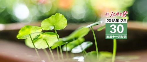 《模拟人生4园艺技巧大揭秘:轻松提升绿手指》 《模拟人生4园艺技巧大揭秘:轻松提升绿手指》