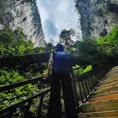 荒野通关秘籍!怎样解锁宝藏内容?大揭秘! 荒野通关秘籍!怎样解锁宝藏内容?大揭秘!