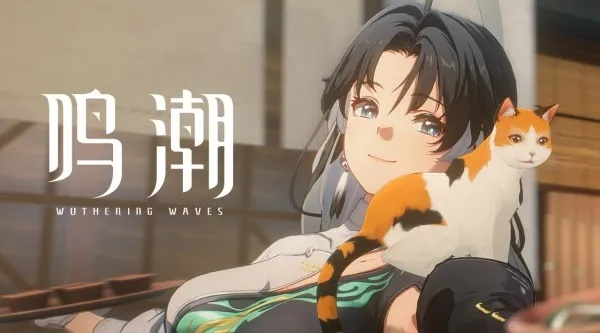 独家鸣潮兑换码来啦！2月谁称霸?角色强度有反转?