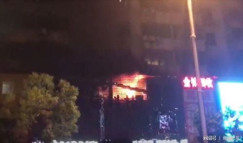 《深夜林间自由行:看火人夜探秘境》 《深夜林间自由行:看火人夜探秘境》