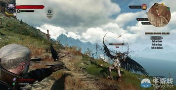 《巫师3》Boss战新变化揭秘:千变万化挑战来袭 《巫师3》Boss战新变化揭秘:千变万化挑战来袭