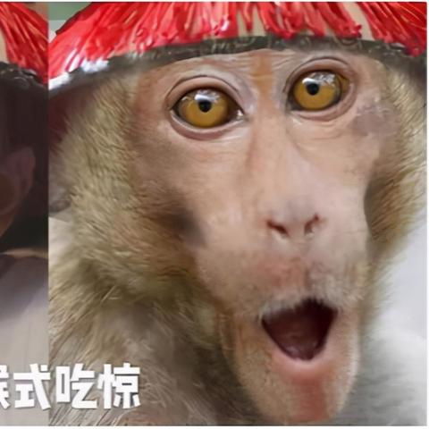 陈小春式凡尔赛,我何德何能有机会上春晚?他在春晚舞台到底有多惊喜? 陈小春式凡尔赛,我何德何能有机会上春晚?他在春晚舞台到底有多惊喜?