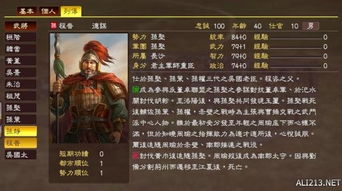 《三国志14》王方新武将:内应卖城神技揭秘! 《三国志14》王方新武将:内应卖城神技揭秘!