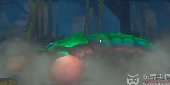 《戴夫潜水拳击螳螂虾攻略：实战技巧揭秘》