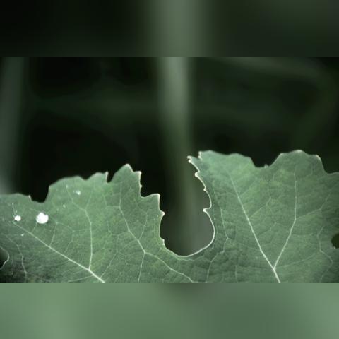 武侠游戏未来展望:探寻武侠类游戏市场的生命力 武侠游戏未来展望:探寻武侠类游戏市场的生命力