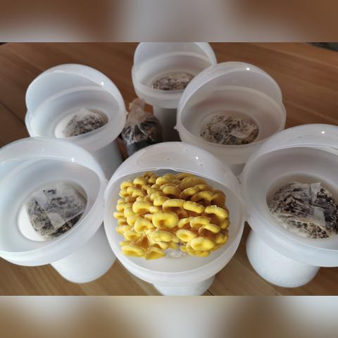 《幻塔》源器搭配攻略:最强组合曝光! 《幻塔》源器搭配攻略:最强组合曝光!