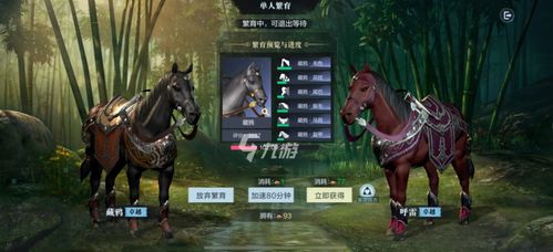 《赤兔马攻略:三国无双起源独门获取技巧》 《赤兔马攻略:三国无双起源独门获取技巧》