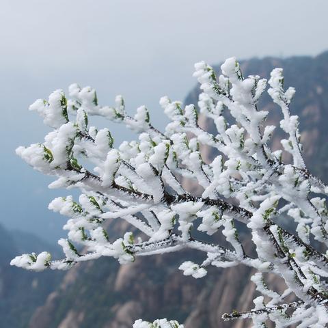 《绝区零》手游独家下载入口,独家福利等你来! 《绝区零》手游独家下载入口,独家福利等你来!