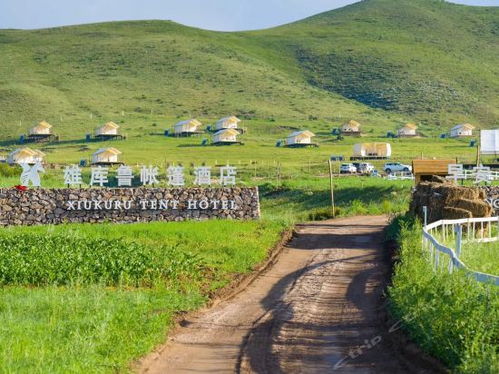 《古伦木基地攻略:草原营地挑战全解析》 《古伦木基地攻略:草原营地挑战全解析》