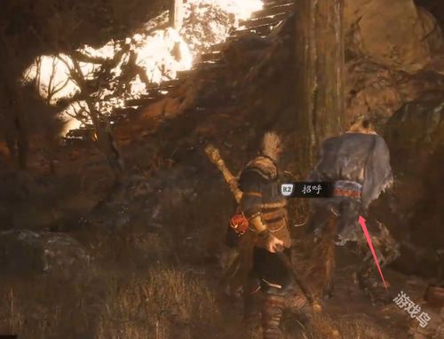 《黑神话悟空》全丹方位置揭秘!高效收集攻略大公开 《黑神话悟空》全丹方位置揭秘!高效收集攻略大公开