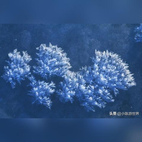 《DOTA2》7.38更新:冰霜之珠新装备,掌握冰封之力! 《DOTA2》7.38更新:冰霜之珠新装备,掌握冰封之力!