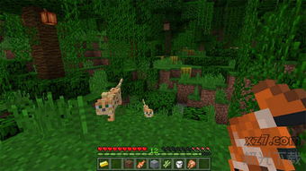 《我的世界》Windows 10版新更新:红石矿探秘来袭! 《我的世界》Windows 10版新更新:红石矿探秘来袭!