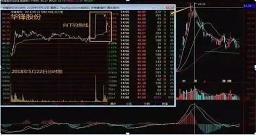 《风帆纪元》安德鲁速升100攻略:高效贡献特性技巧揭秘 《风帆纪元》安德鲁速升100攻略:高效贡献特性技巧揭秘