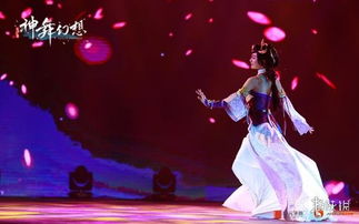 《神舞幻想》盛典京城惊艳亮相，匠心独运！