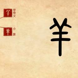 《羊了个羊》大世界通关攻略:6月5日挑战全解密 《羊了个羊》大世界通关攻略:6月5日挑战全解密