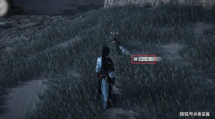 《燕云十六声》河西玉门关:揭秘万事知全攻略秘籍 《燕云十六声》河西玉门关:揭秘万事知全攻略秘籍