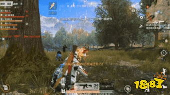 《荒野太刀弱特5新攻略!1.01版最强配装曝光》 《荒野太刀弱特5新攻略!1.01版最强配装曝光》