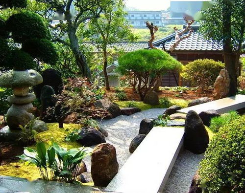 《植物情话:哪句表白击中你的心?僵尸版》 《植物情话:哪句表白击中你的心?僵尸版》