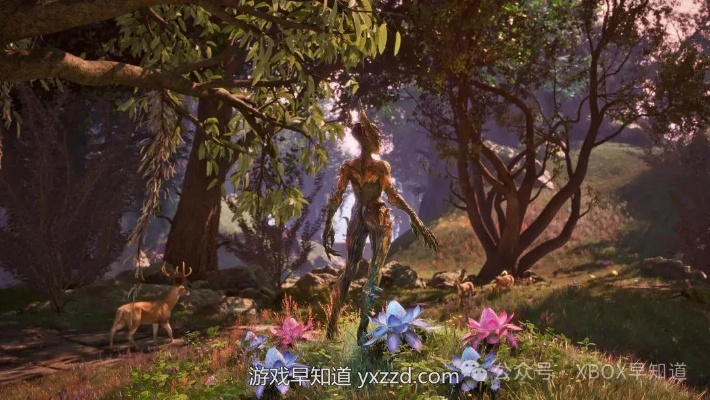 《上古卷轴4:湮灭重制版》Xbox与PS图形对比