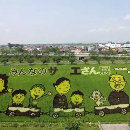 《真三国无双起源》单挑秘籍:解锁最强武将对决技巧 《真三国无双起源》单挑秘籍:解锁最强武将对决技巧