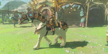 《塞尔达传说：野性之息》DLC官方澄清：揭秘真相！