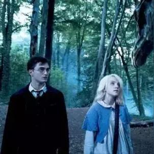 《霍格沃茨遗落夜骐:探寻神秘踪迹》 《霍格沃茨遗落夜骐:探寻神秘踪迹》