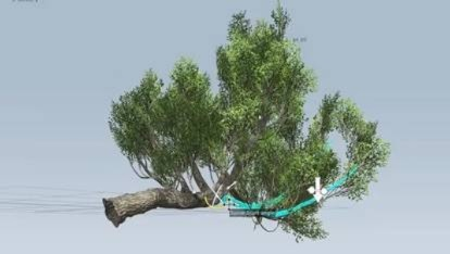 《巫师3》植被建模升级：SpeedTree打造逼真自然景观