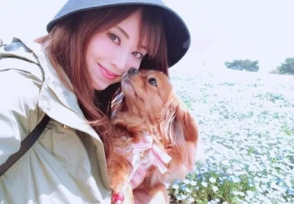 吉泽老师上位，苍龙双杰退潮！新宠降临！