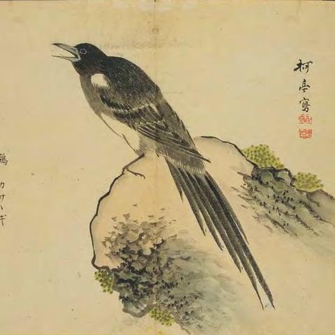 《鸣潮》荣耀之丘速刷攻略:高效刷组技巧揭秘 《鸣潮》荣耀之丘速刷攻略:高效刷组技巧揭秘