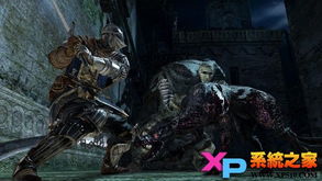 《黑暗之魂2》巨龙挑战:手刃巨龙攻略揭秘 《黑暗之魂2》巨龙挑战:手刃巨龙攻略揭秘