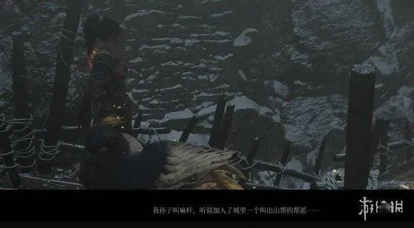 《明末渊虚之羽》何有哉支线攻略：解锁隐藏剧情