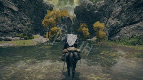 《艾尔登法环》潜雾猛禽战灰攻略：高效获取方法揭秘