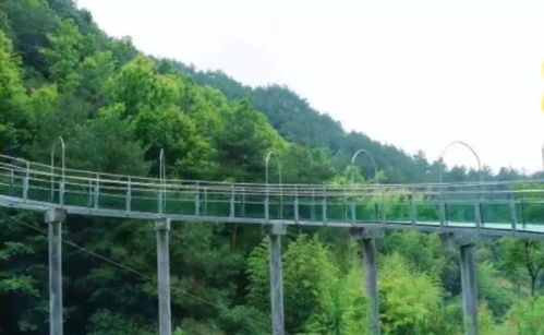 《森林之子桥梁攻略:轻松搭建你的专属跨域之道》 《森林之子桥梁攻略:轻松搭建你的专属跨域之道》