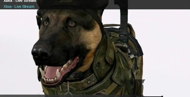 《使命召唤10》军犬推特曝光：狂喷喵星人，战场才是真爱！