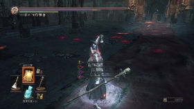 《黑暗之魂3》8周目无伤全BOSS击杀！喂狗组极限挑战！