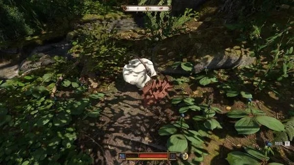 《天国拯救2》高效颠茄采集点攻略揭秘 《天国拯救2》高效颠茄采集点攻略揭秘