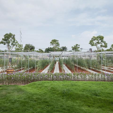 《Minecraft》全自动农场攻略:揭秘高效种植技巧 《Minecraft》全自动农场攻略:揭秘高效种植技巧