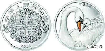 《鹅鸭杀》免费银币攻略：轻松获1000银币秘籍！