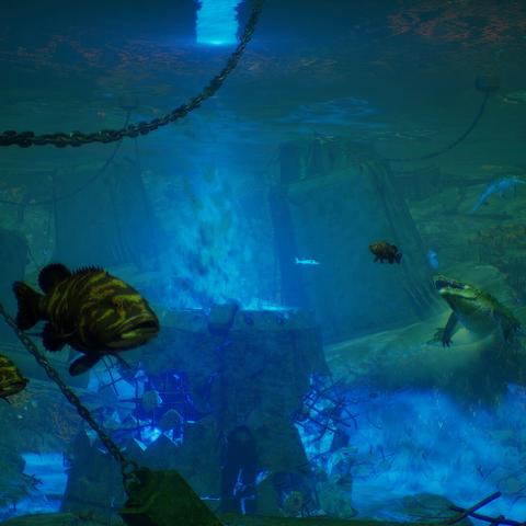 《食人鲨》全关卡攻略：高效通关秘籍大揭秘