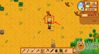 《星露谷物语》金鸡流攻略：轻松致富的秘密武器